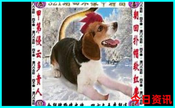 全新發(fā)布深度澳門全新下載管家婆內(nèi)幕100全新熱議準確