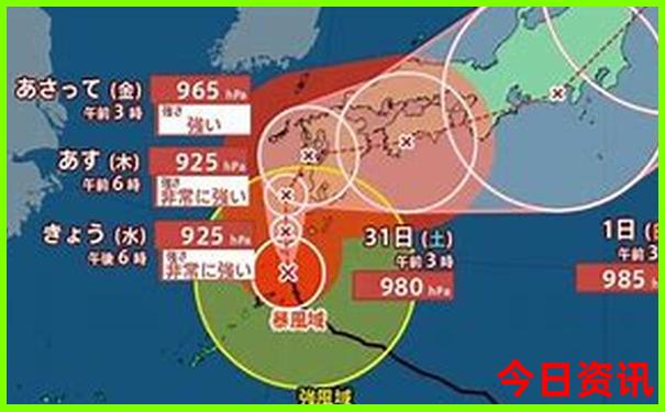 最新爆料2025全新獲取精準(zhǔn)資料大全新權(quán)威全免費(fèi)