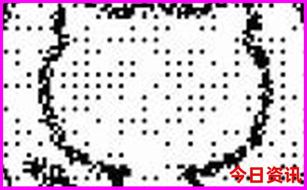 2025最新正版實時更新資料全新下載免費值得關(guān)注大全