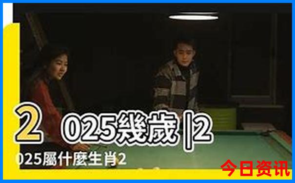 2025全新體驗全年攻略免費免費資料大全熱門話題